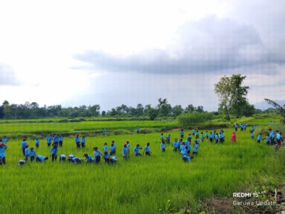 पढ्दै कमाउँदै अभियानतर्फ सरस्वती आधारभूत विद्यालय, विद्यार्थीलाई शुक्रबार धान गोडाइमा सहभागिता